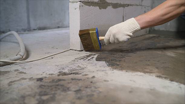 Top rated local Basement Waterproofing specialists in Hampton, VA